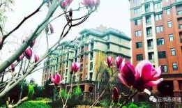 燕郊去哪里爆料新闻,聚焦民生，倾听民意