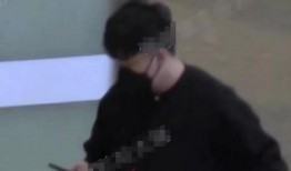 刘大锤最新爆料辛芷蕾,背后真相令人震惊！