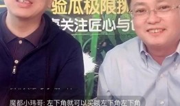 吃瓜先生直播在线观看免费,免费观看，精彩不容错过！
