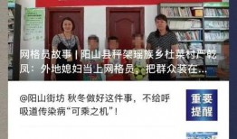 阳山县新闻头条爆料电话,详情即将揭晓